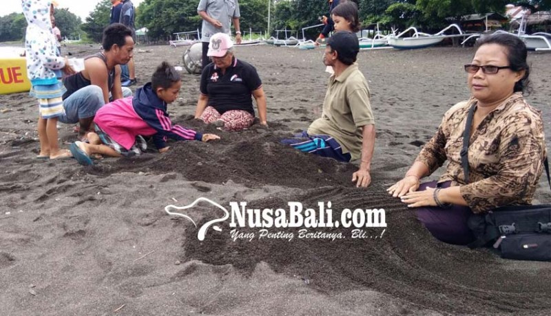 www.nusabali.com-pasir-hitam-kawasan-pantai-bali-utara-jadi-terapi-kesehatan