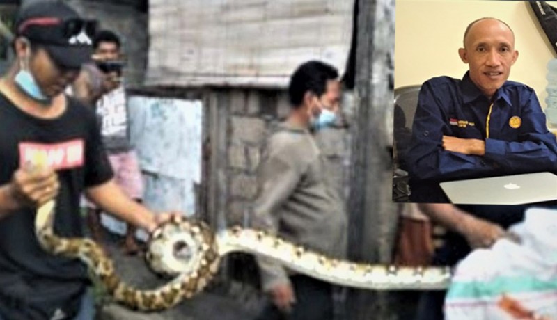 www.nusabali.com-hindari-ular-masuk-rumah-antisipasi-dengan-cara-ini