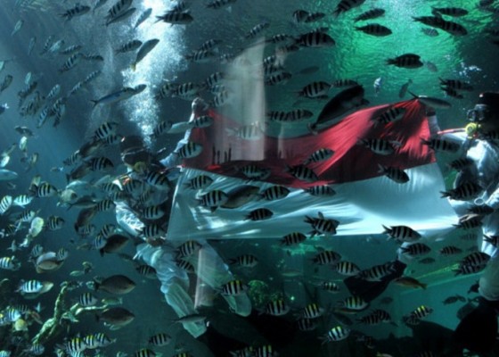 Nusabali.com - sambut-hut-ke-76-ri-apurva-kempinski-kibarkan-bendera-di-akuarium-hotel