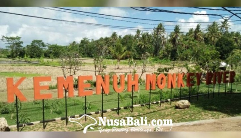 www.nusabali.com-terhalang-sarana-dan-prasarana-soft-opening-monkey-river-kemenuh-diundur
