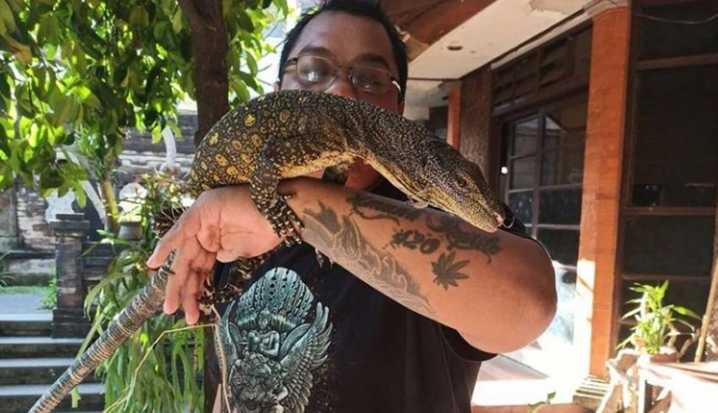 www.nusabali.com-komunitas-reptile-bali-wadah-pecinta-reptil-saling-berbagi-dan-edukasi