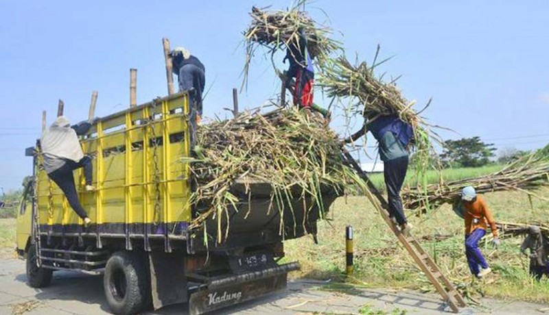 www.nusabali.com-pemerintah-bentuk-holding-sugarco