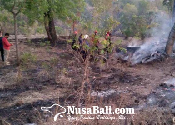 Nusabali.com - kebakaran-lahan-damkar-habiskan-15000-liter
