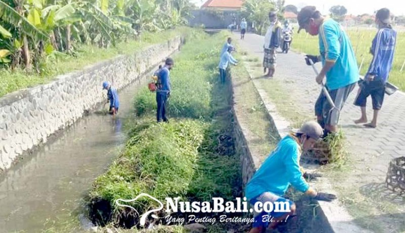 www.nusabali.com-musim-hujan-dinas-pupr-gencarkan-pembersihan-sungai