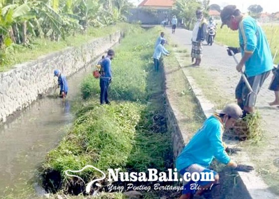 Nusabali.com - musim-hujan-dinas-pupr-gencarkan-pembersihan-sungai