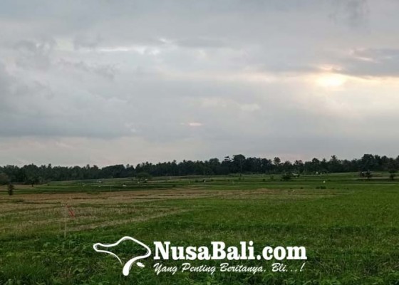 Nusabali.com - jalur-tol-di-kecamatan-marga-tabanan-berubah