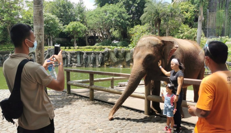 www.nusabali.com-bali-zoo-gianyar-masih-jadi-favorit-wisatawan