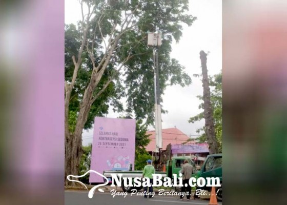 Nusabali.com - musim-hujan-perompesan-pohon-di-denpasar-dikebut