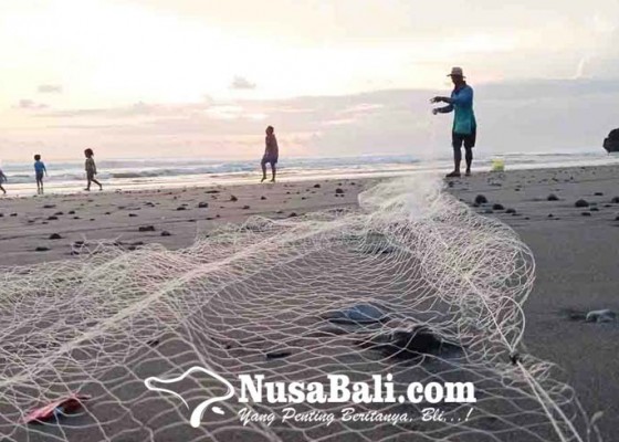 Nusabali.com - dampak-la-nina-nelayan-tabanan-diminta-waspada