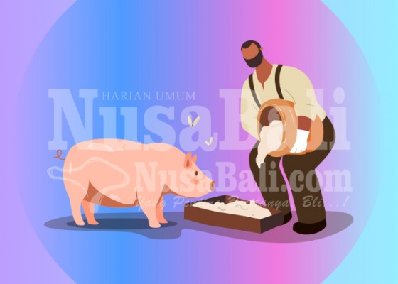 Nusabali.com - pasokan-banyak-kebutuhan-babi-jelang-galungan-rendah