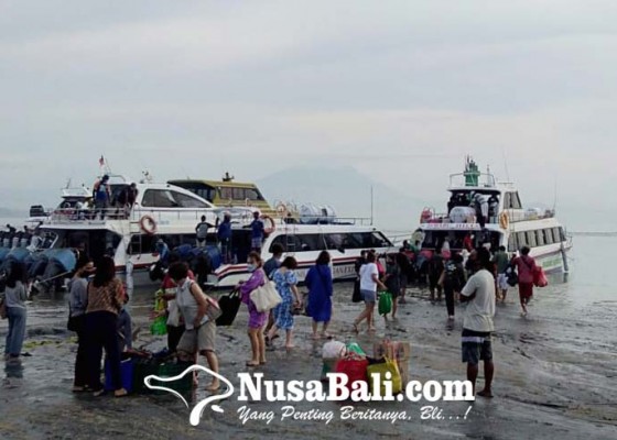 Nusabali.com - wisatawan-domestik-dominasi-penyeberangan-ke-nusa-penida-dan-lembongan