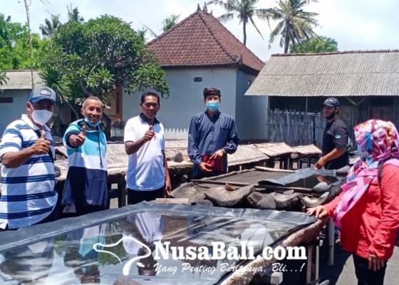 Nusabali.com - petani-garam-kebumen-belajar-ke-kusamba