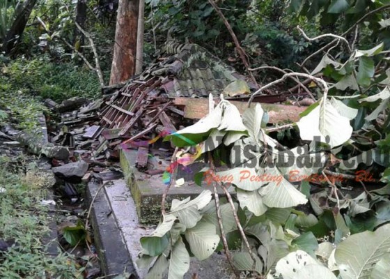 Nusabali.com - bale-pesandekan-hancur-tertimpa-pohon-jati