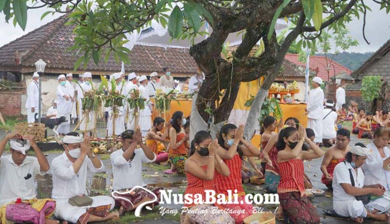 www.nusabali.com-jelang-karya-ngenteg-linggih-desa-adat-bungaya-matur-piuning