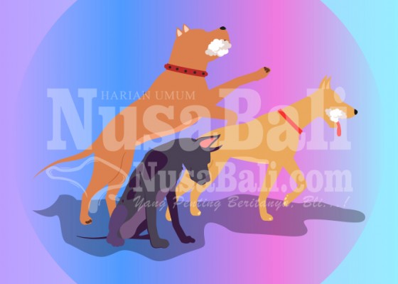 Nusabali.com - dinas-pertanian-terima-laporan-21-kasus-gigitan-anjing-rabies