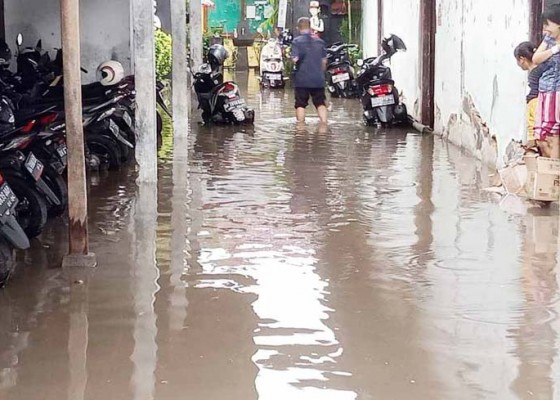 Nusabali.com - puskesmas-dan-sekolah-di-seririt-terendam-air