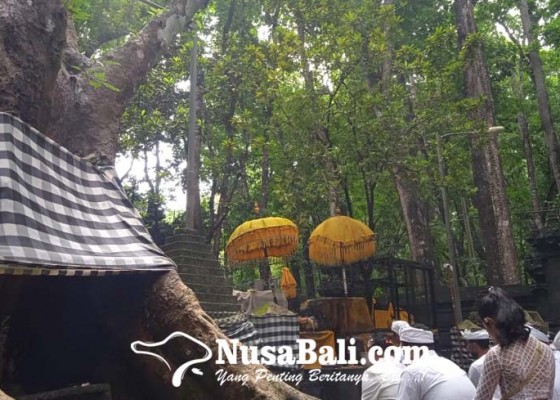 Nusabali.com - jejak-kerajaan-hindu-terakhir-di-pulau-jawa