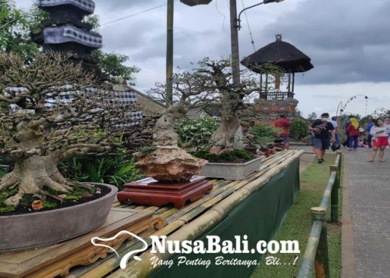 Nusabali.com - padukan-wisata-desa-tradisi-dan-bonsai
