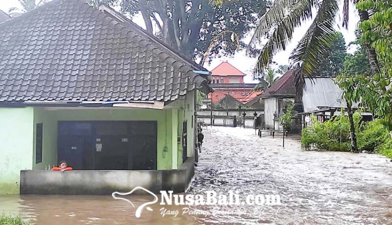 www.nusabali.com-jalan-dan-lahan-persawahan-tergenang-banjir