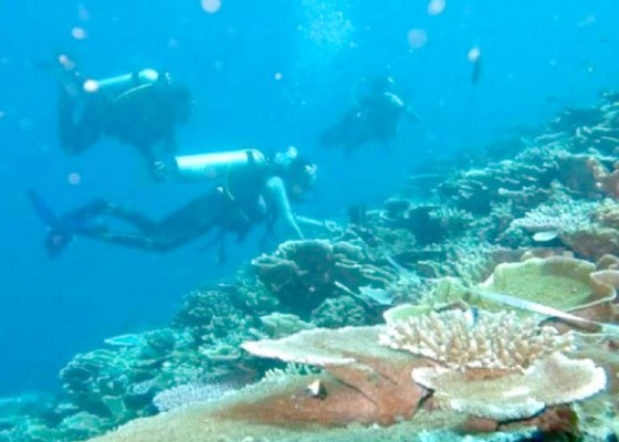 Nusabali.com - wisata-bahari-harus-sinergi-dengan-masyarakat-pesisir