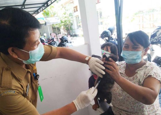 Nusabali.com - terkendala-pandemi-vaksinasi-rabies-belum-maksimal