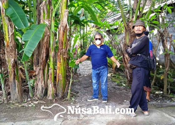 Nusabali.com - jalan-di-banjar-kertagraha-benyah-latig