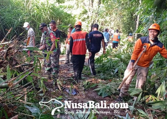 Nusabali.com - tiga-rumpun-bambu-tumbang-tutup-akses-jalan-desa-sambangan-panji