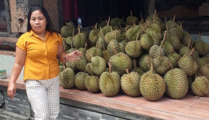 www.nusabali.com-manggis-terpuruk-durian-mengganti