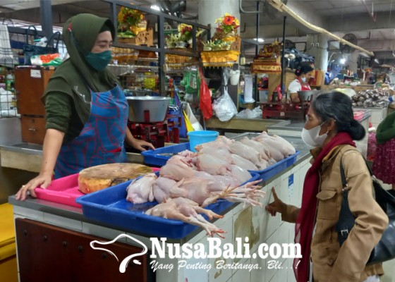 Nusabali.com - harga-daging-ayam-di-pasar-badung-catat-rekor-baru
