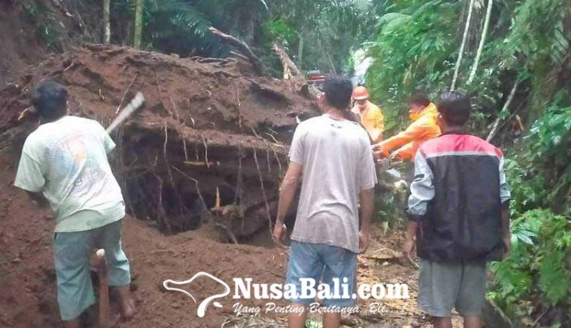 www.nusabali.com-warga-gotong-royong-bersihkan-pohon-tumbang-dan-longsor