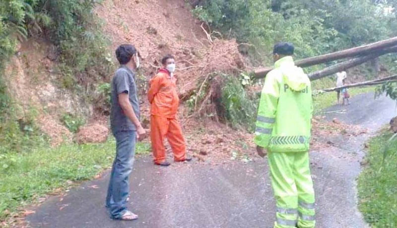 www.nusabali.com-bpbd-karangasem-evakuasi-tiga-pohon-tumbang
