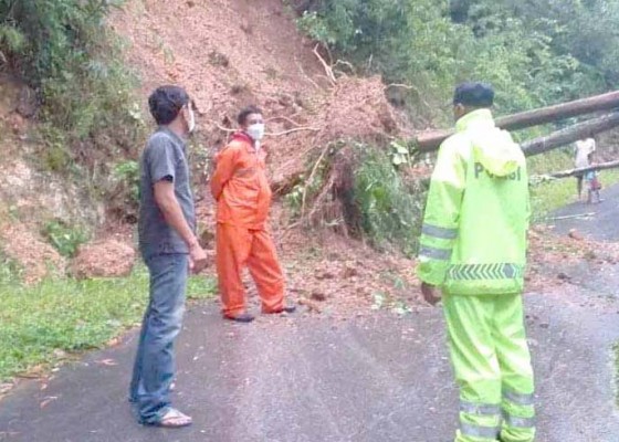 Nusabali.com - bpbd-karangasem-evakuasi-tiga-pohon-tumbang