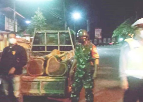Nusabali.com - warga-ditangkap-diduga-jual-kayu-hasil-pembalakan-liar