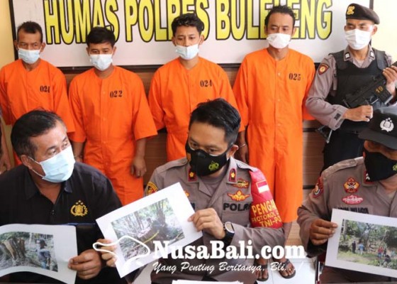 Nusabali.com - komplotan-pembalak-liar-ditangkap