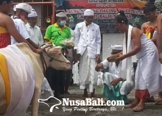 Nusabali.com - krama-desa-adat-bungaya-mamineh-empehan-lembu