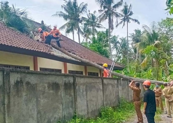 Nusabali.com - gedung-smpn-1-manggis-tertimpa-pohon-kelapa