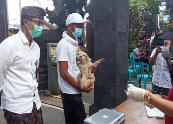 Nusabali.com - dinas-pertanian-dan-pangan-geber-vaksinasi-rabies
