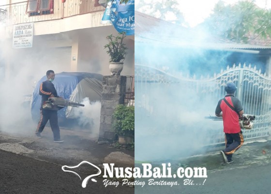 Nusabali.com - cegah-db-dinkes-gencarkan-edukasi-germas-dan-fogging