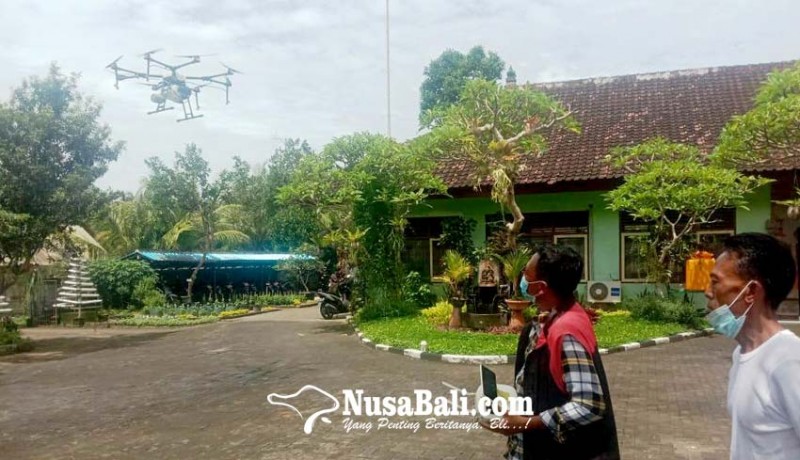 www.nusabali.com-basmi-hama-petani-di-badung-pakai-drone