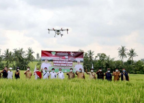 Nusabali.com - petani-di-tabanan-mupuk-pakai-drone