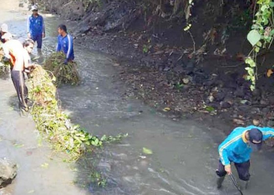 Nusabali.com - dinas-pupr-denpasar-sigap-bersihkan-sungai-telanga