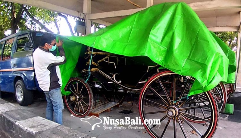 www.nusabali.com-dishub-denpasar-akan-operasikan-kereta-kuda