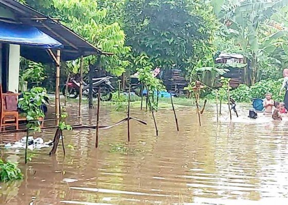 Nusabali.com - warga-tegal-badeng-timur-kebanjiran