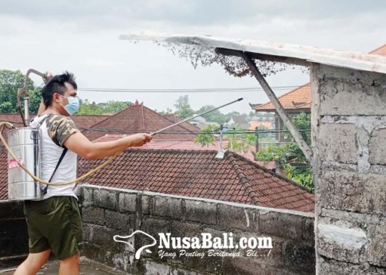 Nusabali.com - ulat-bulu-serang-rumah-warga-di-abianbase
