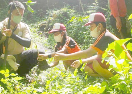 Nusabali.com - hari-hutan-sedunia-siswa-sd-tanam-pohon-di-hutan-belajar