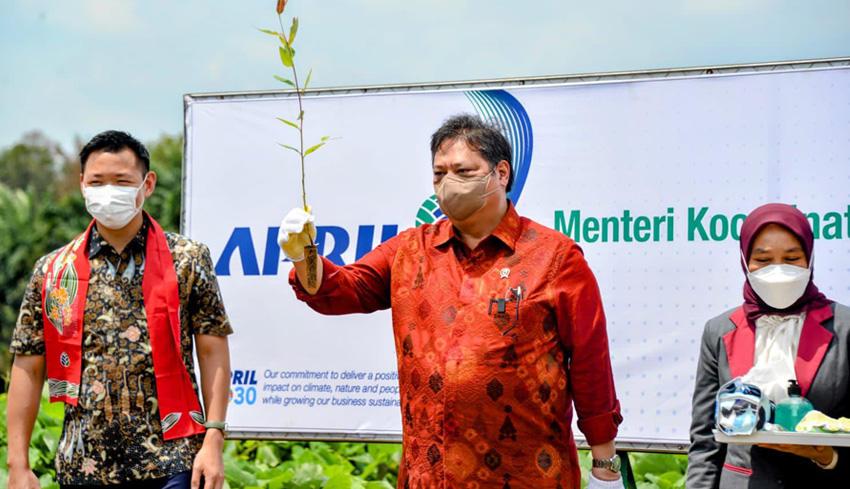 www.nusabali.com-menko-airlangga-reforestrasi-dorong-akselerasi-pertumbuhan-green-economy