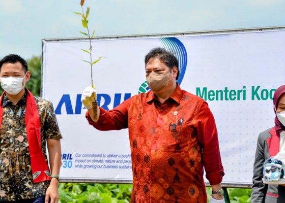 Nusabali.com - menko-airlangga-reforestrasi-dorong-akselerasi-pertumbuhan-green-economy