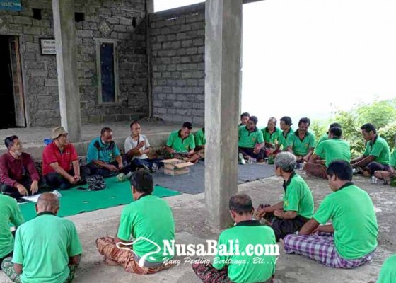 Nusabali.com - dinas-pertanian-sosialisasikan-tanaman-kapas