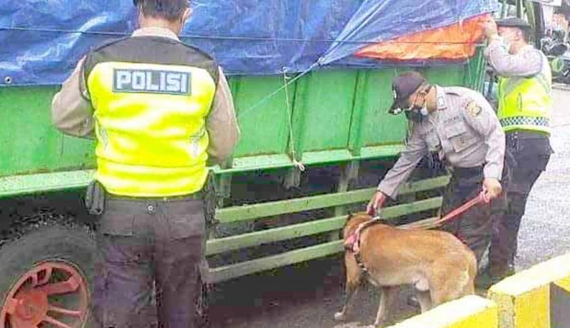 www.nusabali.com-polisi-siagakan-anjing-pelacak-di-padang-bai