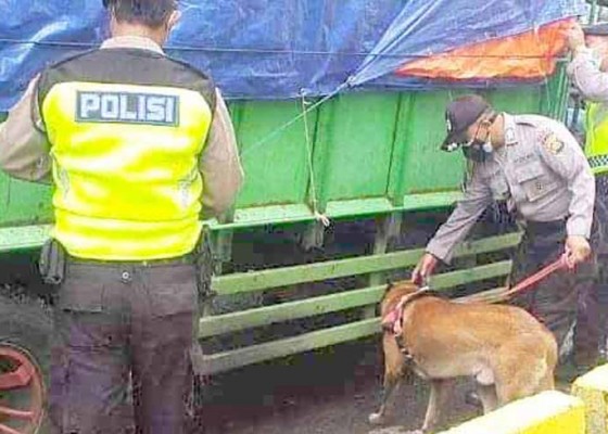 Nusabali.com - polisi-siagakan-anjing-pelacak-di-padang-bai